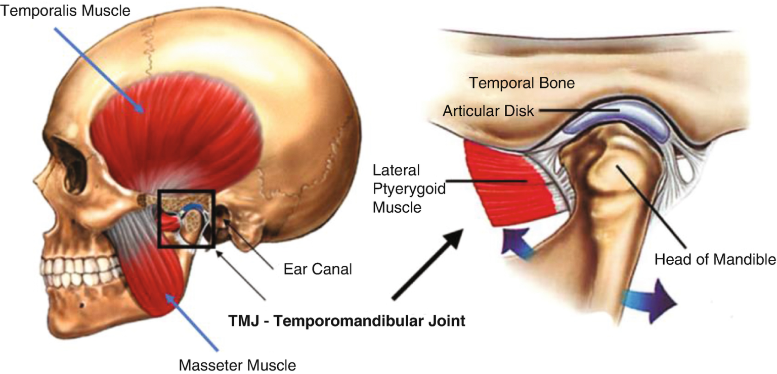 acupuncture-new-approach-for-temporomandibular-disorders-mt-gambier